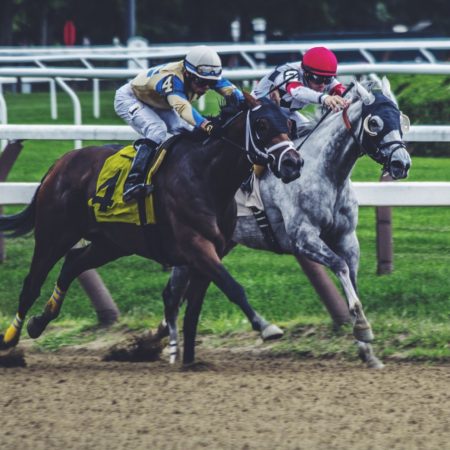 Horse Racing Betting Odds