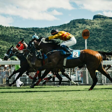 The Truth About Horse Racing