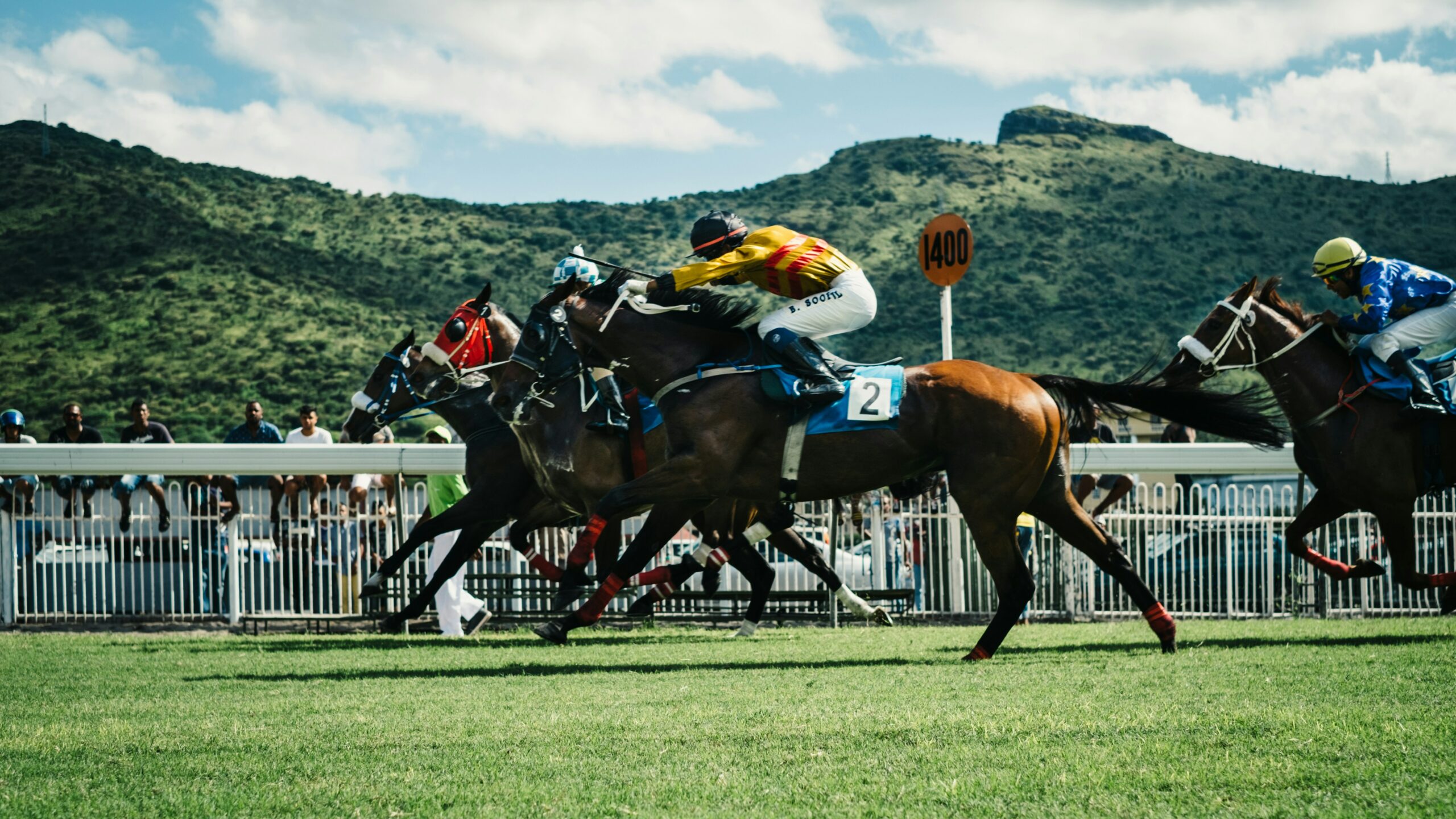 The Truth About Horse Racing