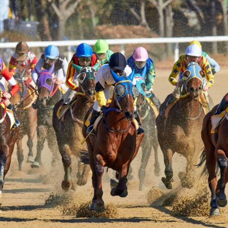 Horse Racing Betting Odds