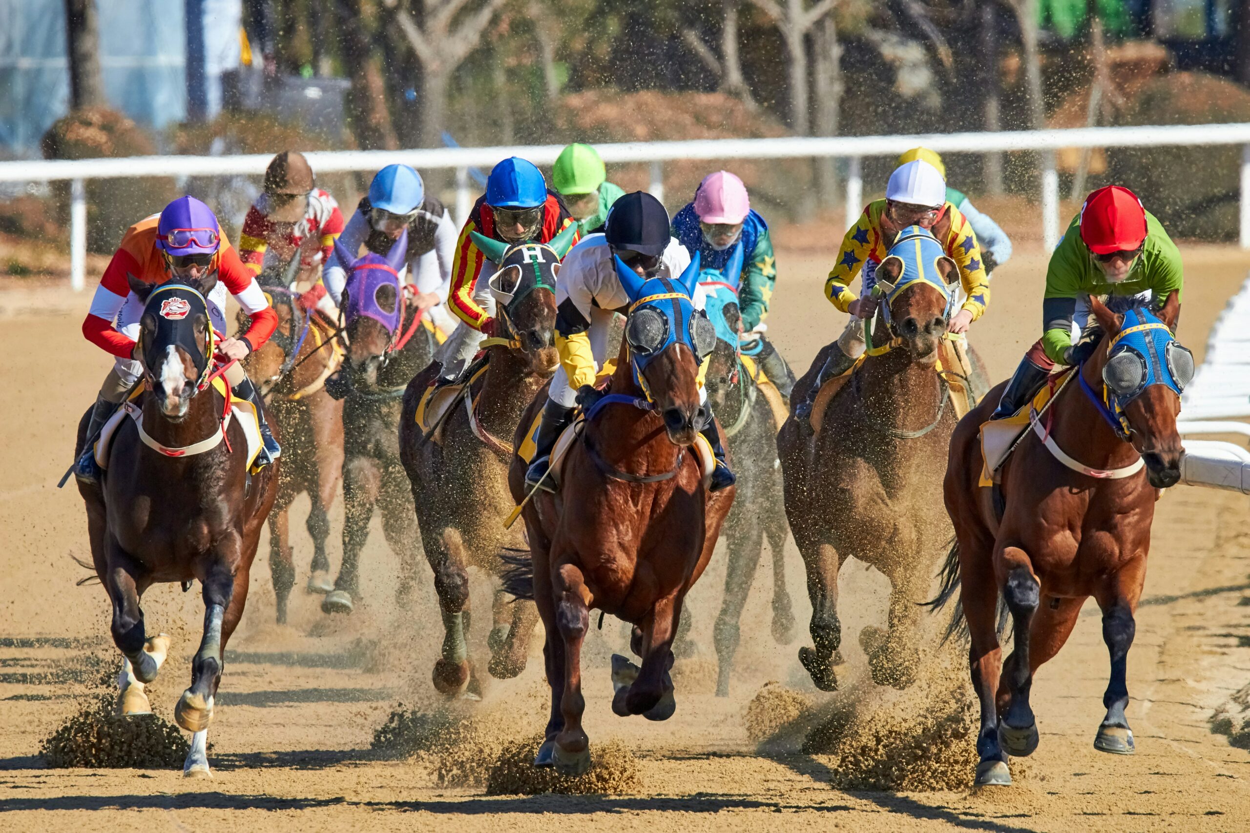 Horse Racing Betting Odds