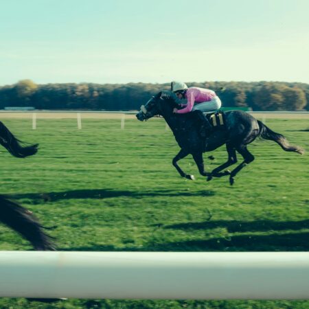 Top 27 Horse Racing Tips
