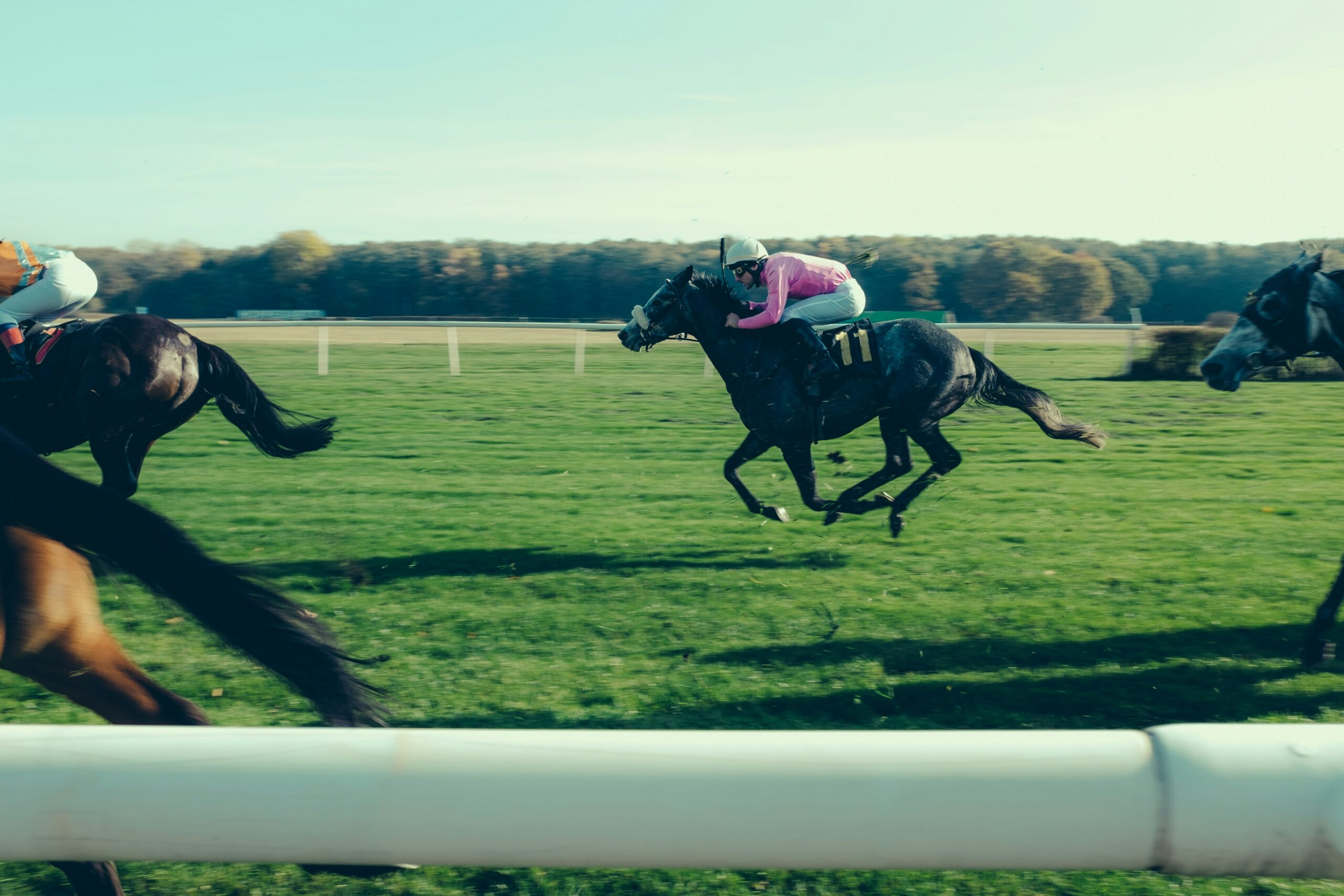 Top 27 Horse Racing Tips